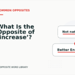 What Is the Opposite of ‘increase’?
