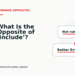 What Is the Opposite of ‘include’?