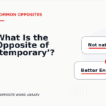 What Is the Opposite of ‘temporary’?