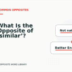 What Is the Opposite of ‘similar’?
