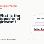 What Is the Opposite of ‘private’?